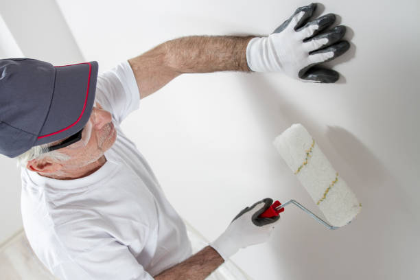 Best Mold Documentation for Insurance Claims  in Beverly, MA