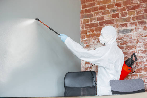 Best Emergency Mold Remediation  in Beverly, MA