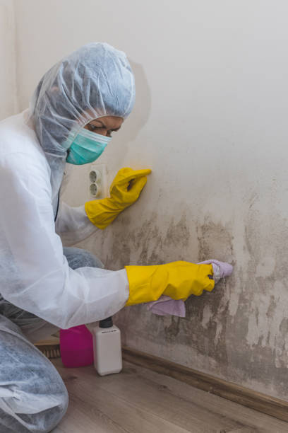 Best Dehumidification Services  in Beverly, MA