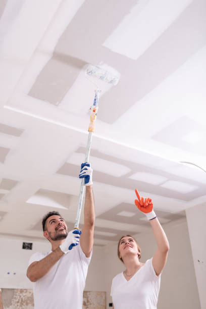 Best Commercial Mold Inspection  in Beverly, MA