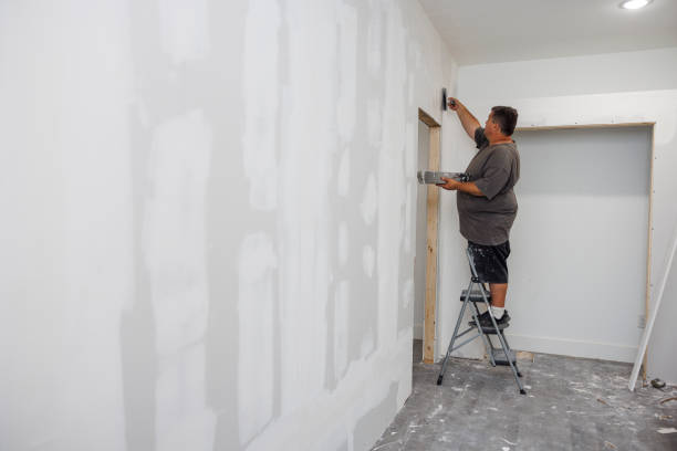 Best Black Mold Removal  in Beverly, MA